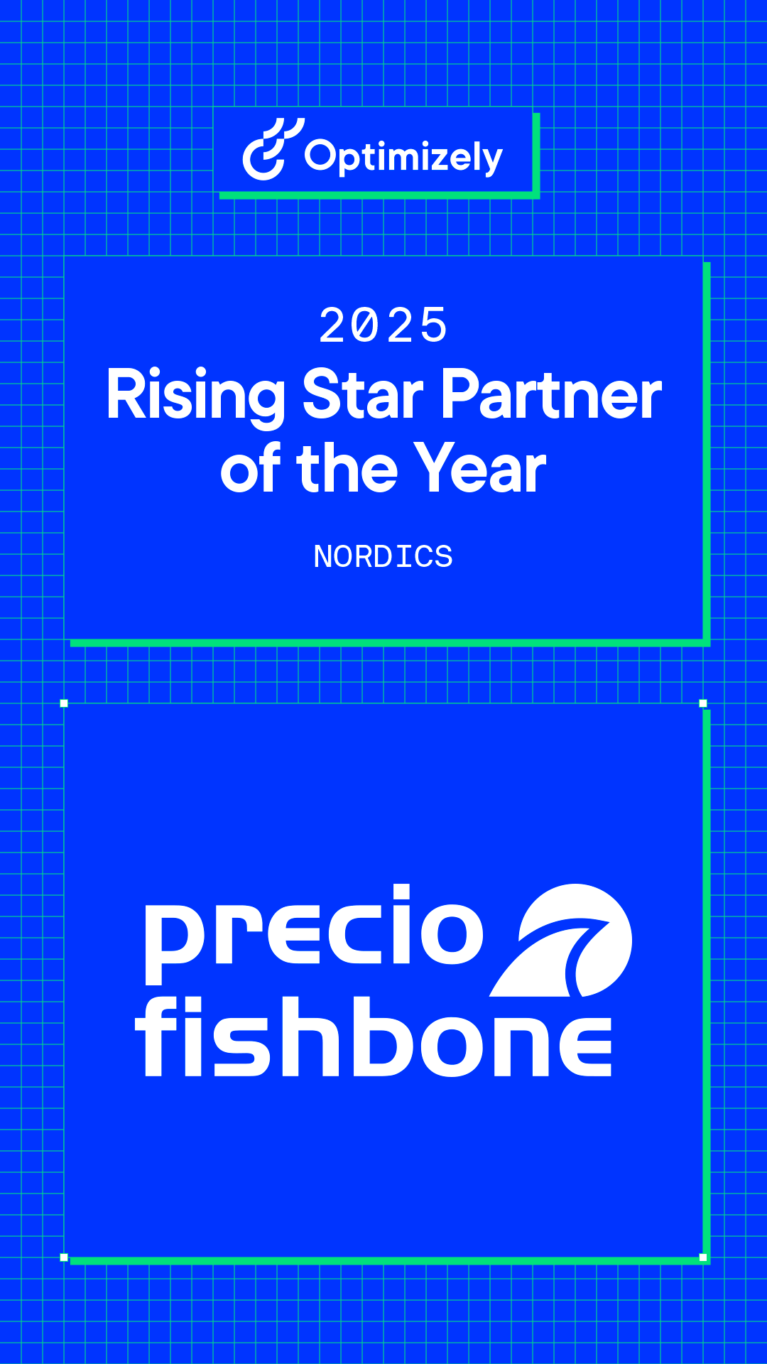 Optimizely Partner Awards 2025 Rising Star